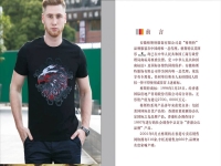 荣誉资质